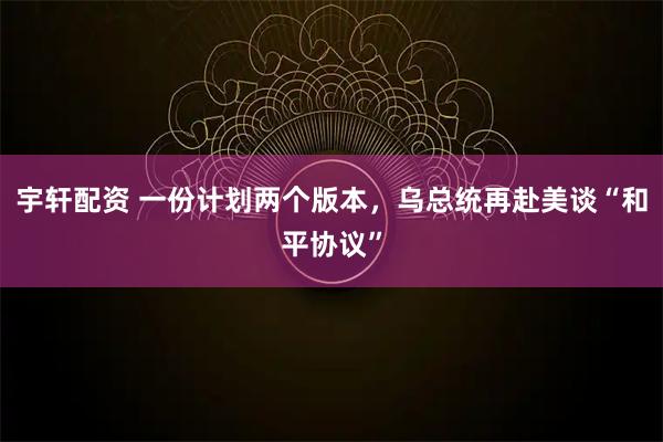 宇轩配资 一份计划两个版本,乌总统再赴美谈“和平协议”