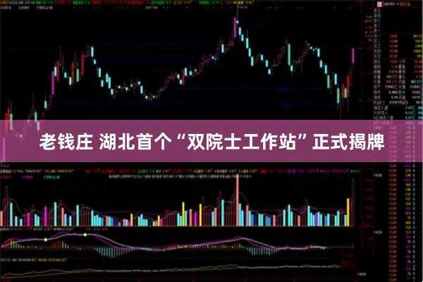 老钱庄 湖北首个“双院士工作站”正式揭牌