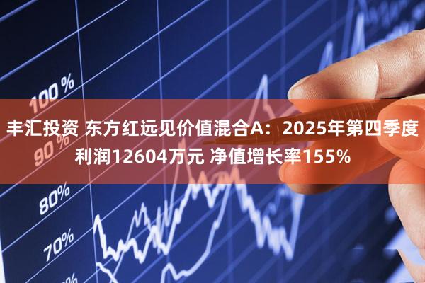 丰汇投资 东方红远见价值混合A：2025年第四季度利润12604万元 净值增长率155%