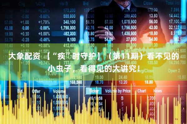 大象配资 【“疾”时守护】（第11期）看不见的小虫子，看得见的大讲究！